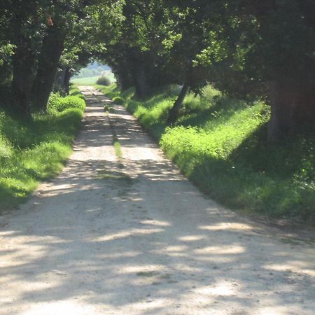 Bed and Breakfast Domaine A Marmande Berdoues Exterior foto